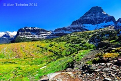 Reynolds Mountain Overlooking Alpine Meadows (Glacier National Park, Montana) . . . © 2014 Alan Ticheler. All rights reserved.