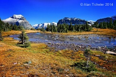 Mountain Meadow Stream (Glacier National Park, Montana) . . . © 2014 Alan Ticheler. All rights reserved.