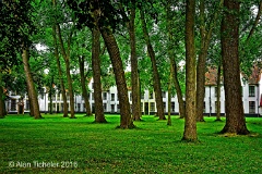 Beguinage Ten Wijngaarde   (Bruges, Belgium) . . . © 2016 Alan Ticheler. All rights reserved.