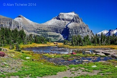 Elk Grazing Beneath Mount Oberlin (Glacier National Park, Montana) . . . © 2014 Alan Ticheler. All rights reserved.