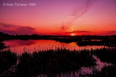 Sunset over Wetlands (near Sedgewick, Alberta) . . . © 1993 Alan Ticheler. All rights reserved.